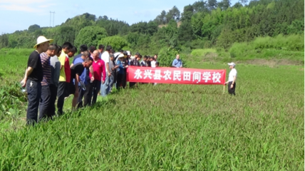 把農技推廣服務辦在田間地頭——記永興縣農業農村局開展“學黨史為群眾辦實事”農業技術推廣活動