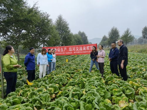 以試驗促進高效生產，以科技助力生態農業——省農業技術推廣總站的實踐與探索