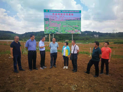 省農業科技發展中心主任潘爾珣深入畢節調研，指導基層農技推廣補助項目建設工作