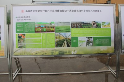 園藝學院春菜品種展示交流會 科技賦能農(nóng)業(yè)，創(chuàng)新引領(lǐng)未來