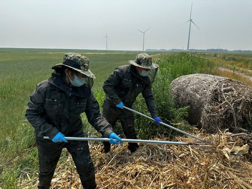 長在科技小院里的“小草” 農(nóng)業(yè)技術(shù)推廣的微光與韌勁